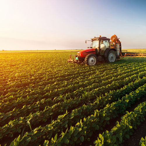 Agriculture